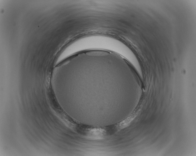 X0000081420168200701261603