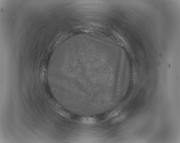 X0000081420169200701261603