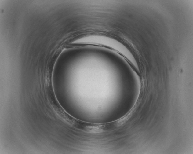 X0000081420170200701261603