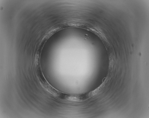 X0000081420171200701261603