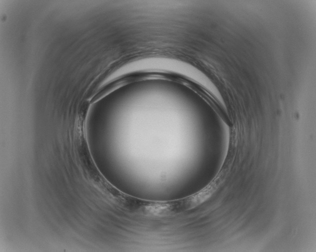 X0000081420172200701261603