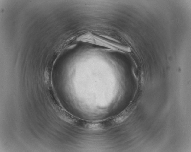 X0000081420173200701261603