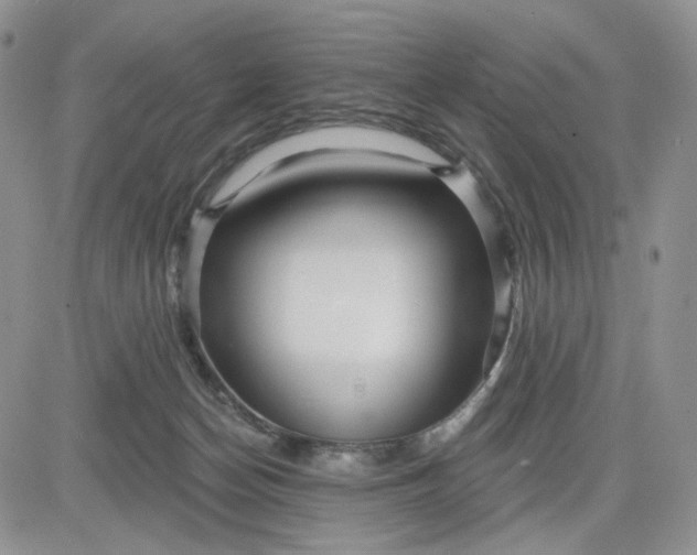 X0000081420174200701261603