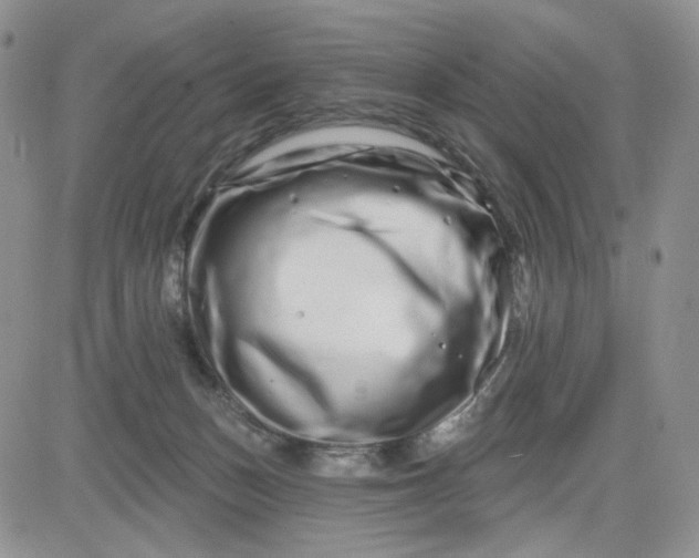 X0000081420175200701261603