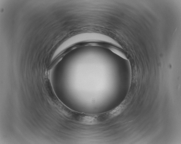 X0000081420176200701261603