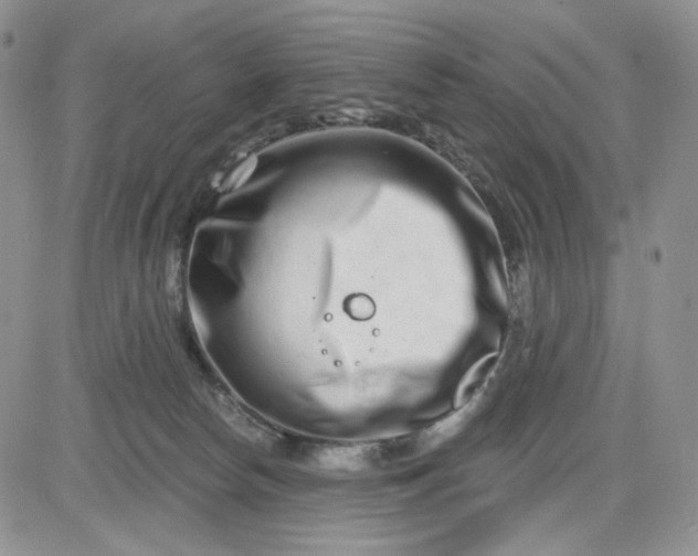 X0000081420178200701261603