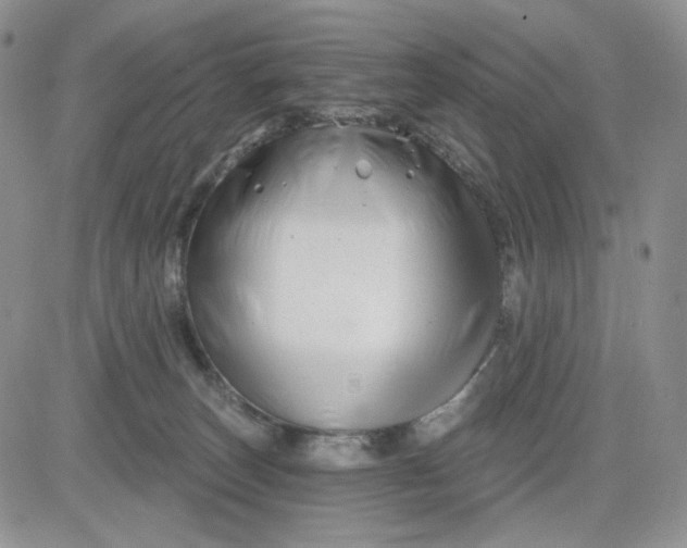 X0000081420179200701261603