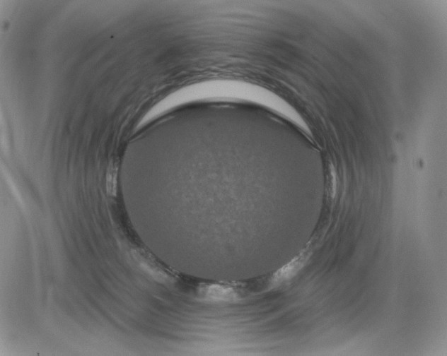 X0000081420180200701261603