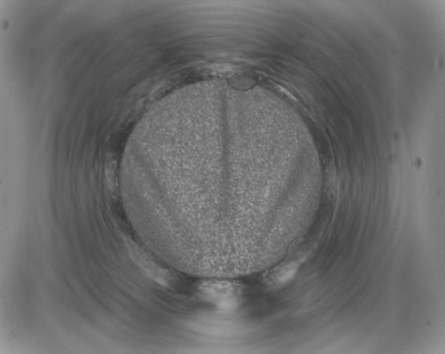 X0000081420181200701261603