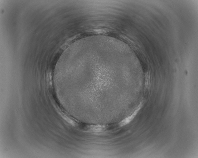 X0000081420182200701261603