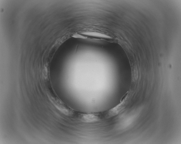 X0000081420183200701261603