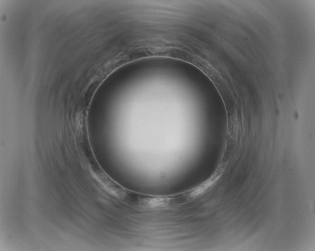 X0000081420184200701261603