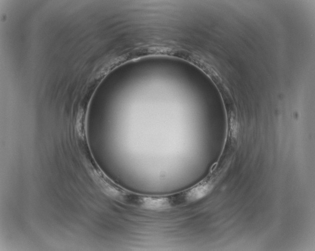 X0000081420185200701261603