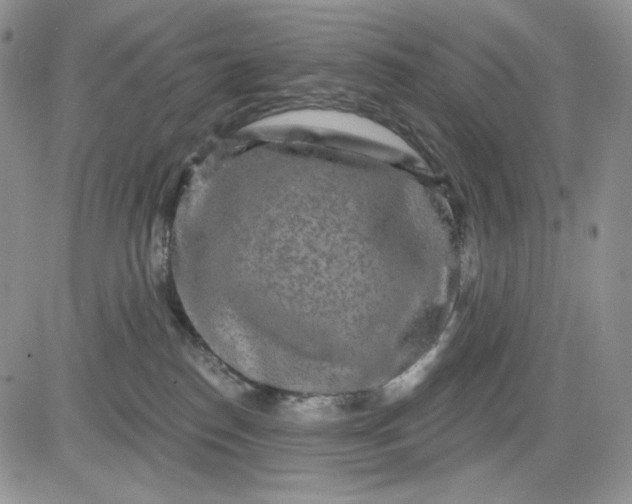 X0000081420186200701261603