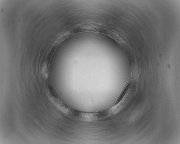 X0000081420187200701261603