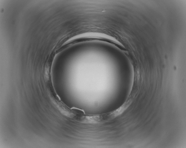 X0000081420188200701261603