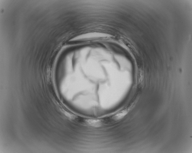 X0000081420189200701261603