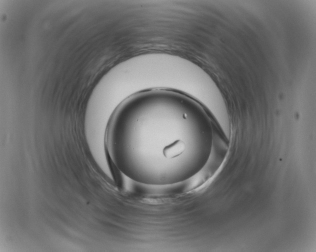 X0000081420190200701261603