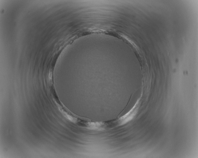 X0000081420192200701261603