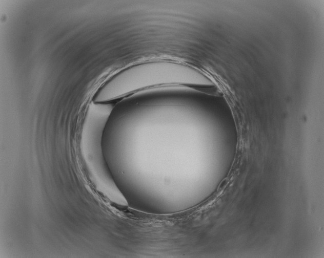 X0000081420193200701261602