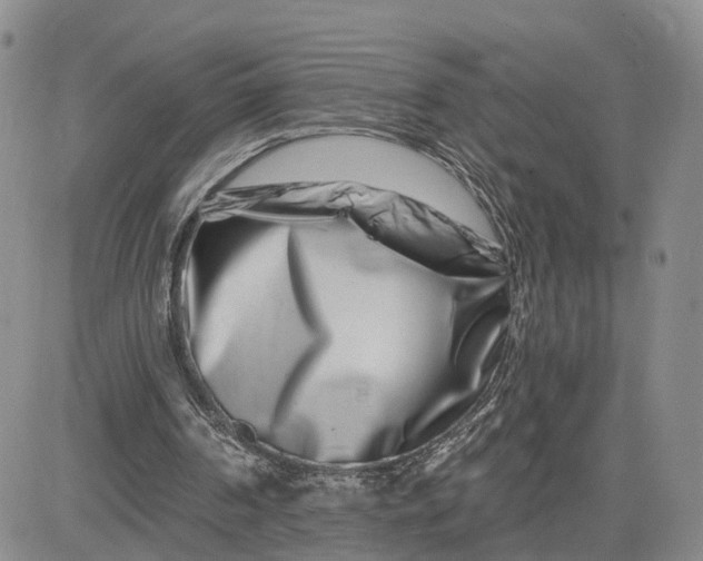 X0000081420194200701261602