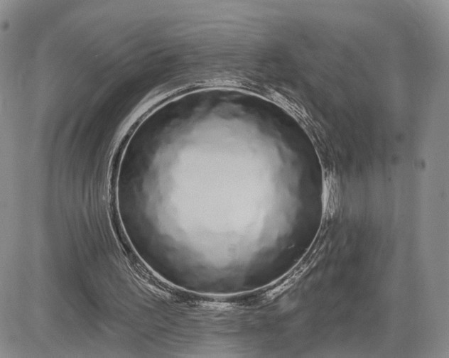 X0000081420195200701261602