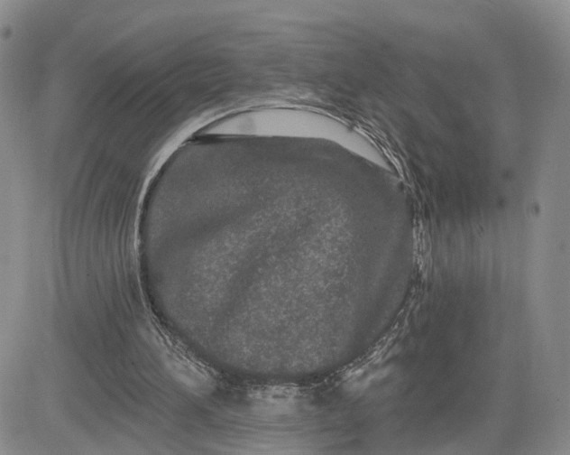 X0000081420196200701261602