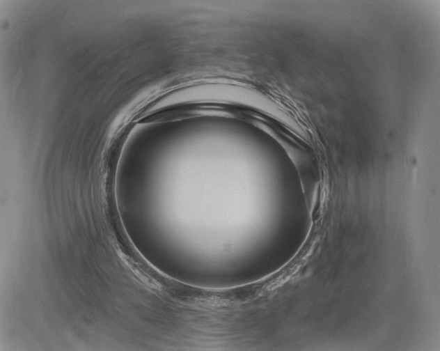 X0000081420197200701261602