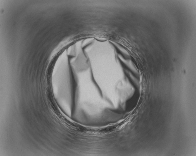 X0000081420198200701261602