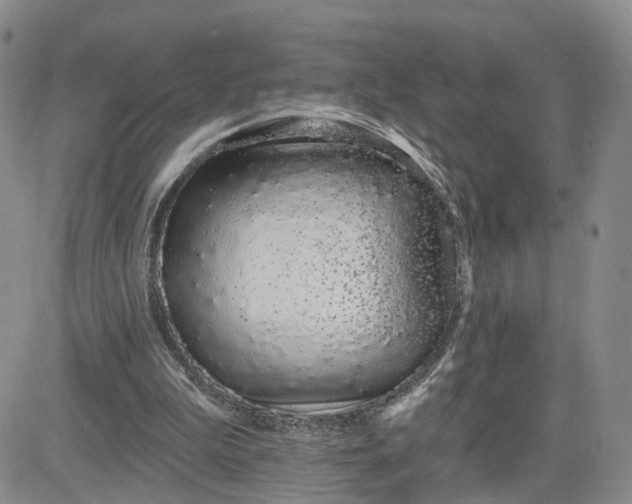 X0000081420199200701261602