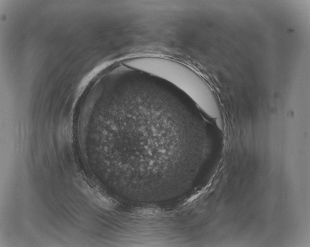 X0000081420200200701261602