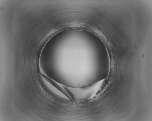 X0000081420201200701261602