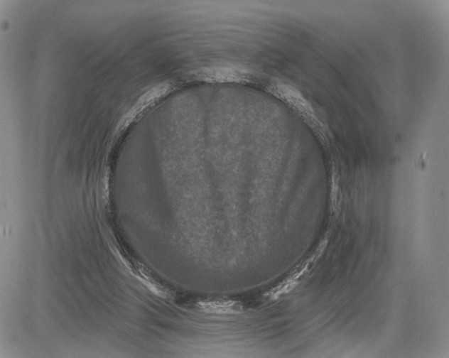 X0000081420202200701261602