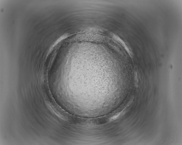 X0000081420203200701261602