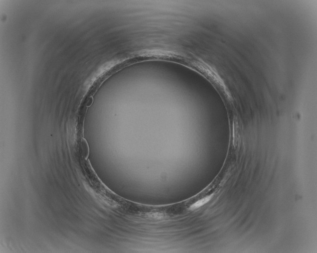 X0000081420204200701261602