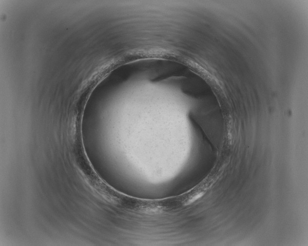 X0000081420206200701261602