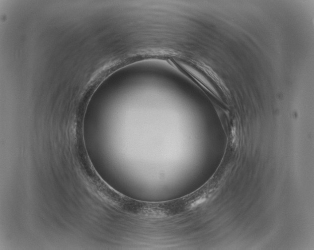 X0000081420207200701261602