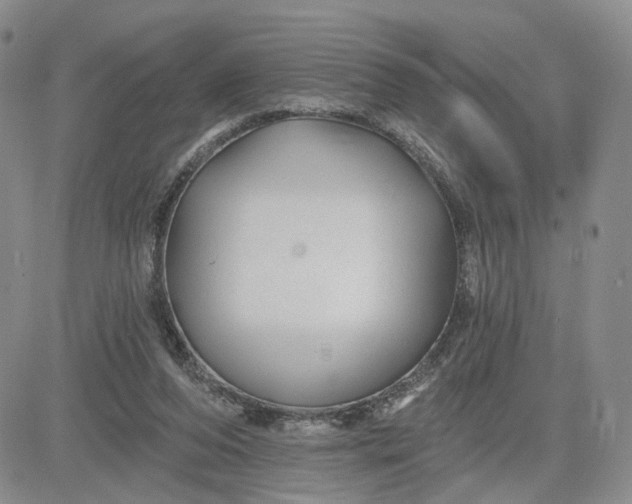 X0000081420208200701261602