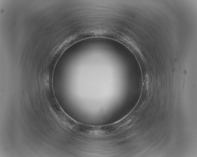 X0000081420212200701261602