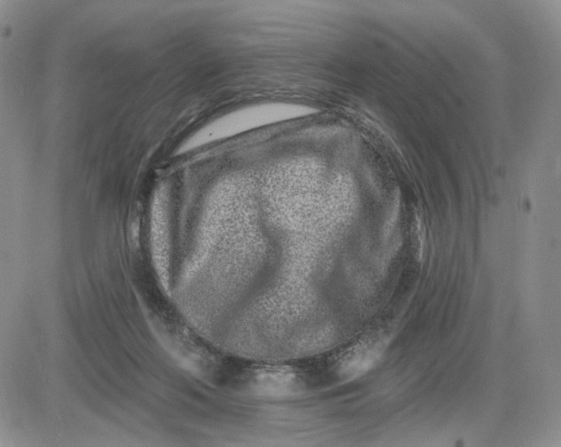 X0000081420214200701261602