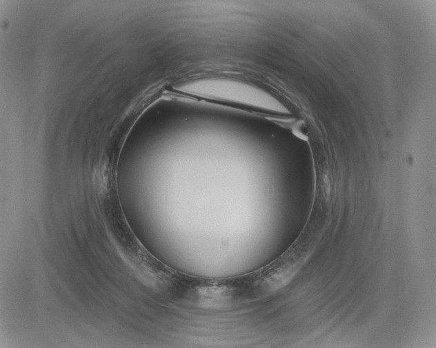 X0000081420216200701261602