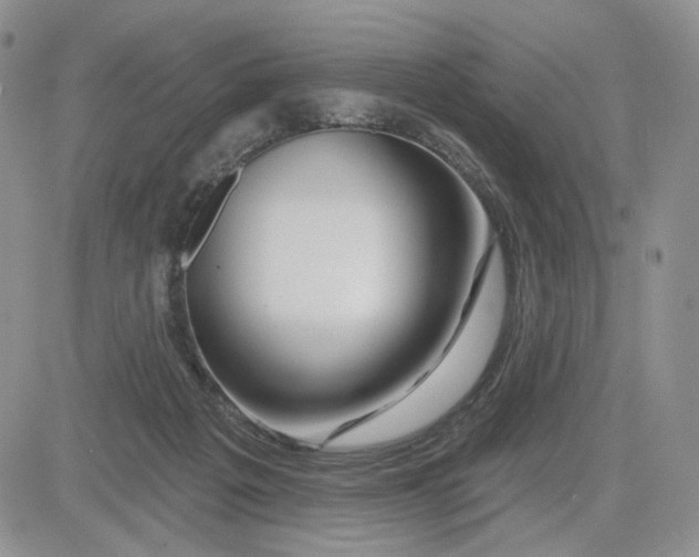 X0000081420217200701261602