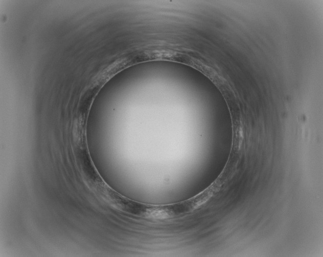 X0000081420218200701261602