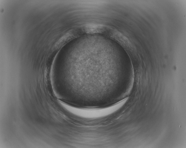 X0000081420219200701261602