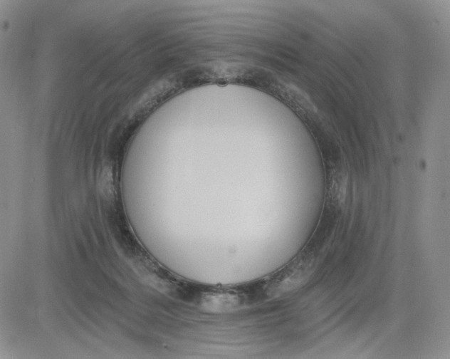 X0000081420220200701261602