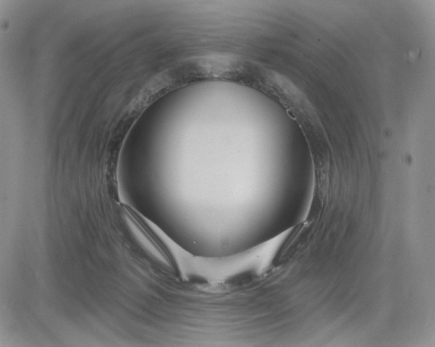 X0000081420221200701261602