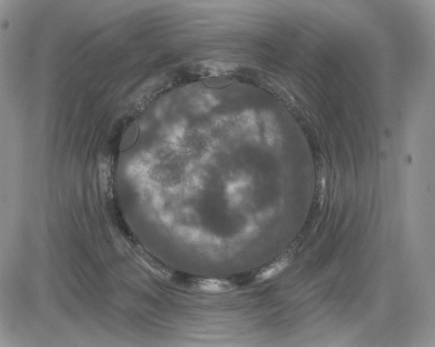 X0000081420222200701261602