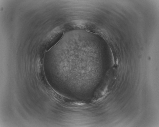 X0000081420223200701261602