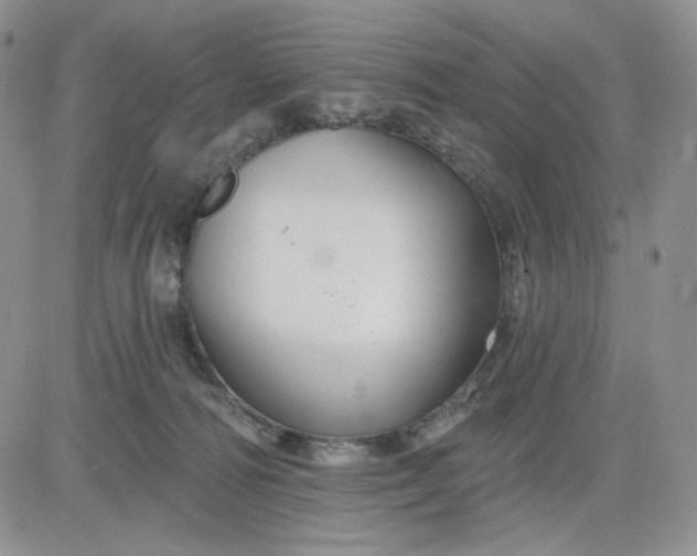 X0000081420226200701261602