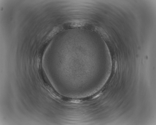 X0000081420227200701261602